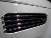 BMW M3 Side Grill.JPG